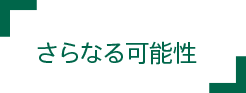 さらなる可能性